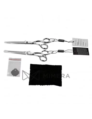 Professional beauty scissors set...