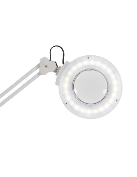 bunnings magnifying light