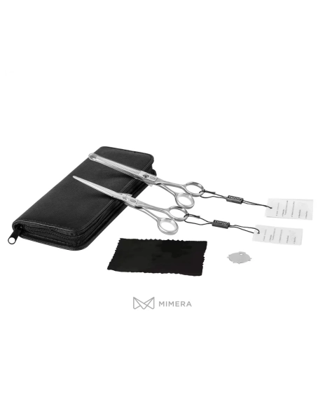 Professional beauty scissors set AQE1510200