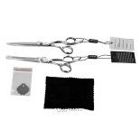 Professional beauty scissors set AQE1510100