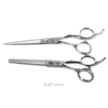Professional beauty scissors set AQE1510100