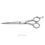 Professional beauty scissors  AQE1110400