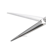 Professional beauty scissors AQE1110100