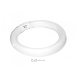 Žiarovka pre lupa lampy