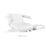 Electric pedicure chair APUS E3 - swivel