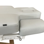 SPA Wellness lehátko LUNA ARM PLUS E3 - s vyhříváním a audio/vibračním systémem, teak/světle šedá