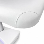 Electric SPA bed Silverfox LINA E3
